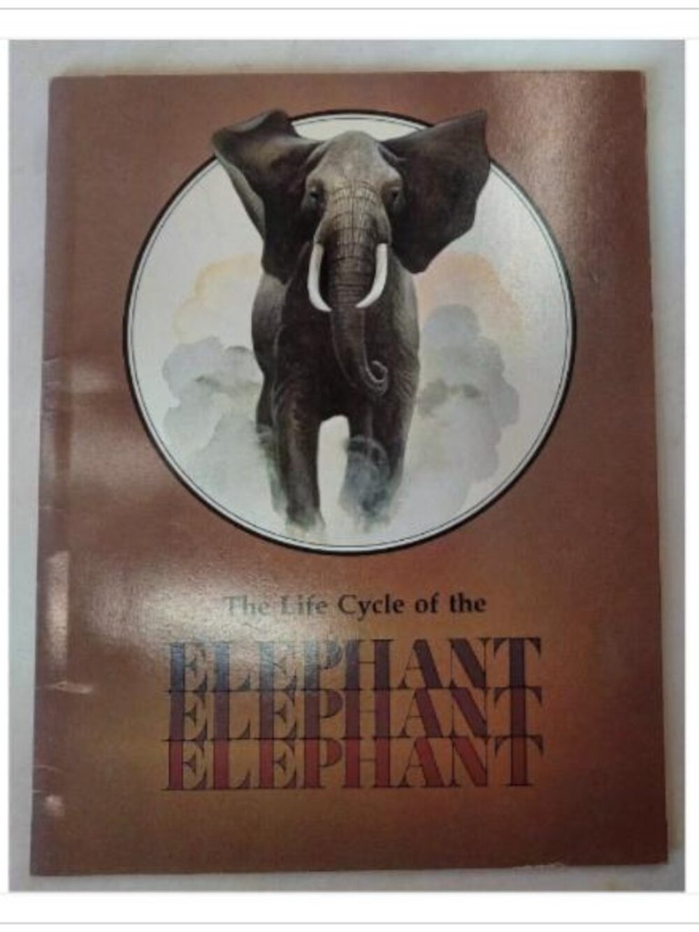 The Life Cycle of the Elephant Raintree Publishers 1979 HC